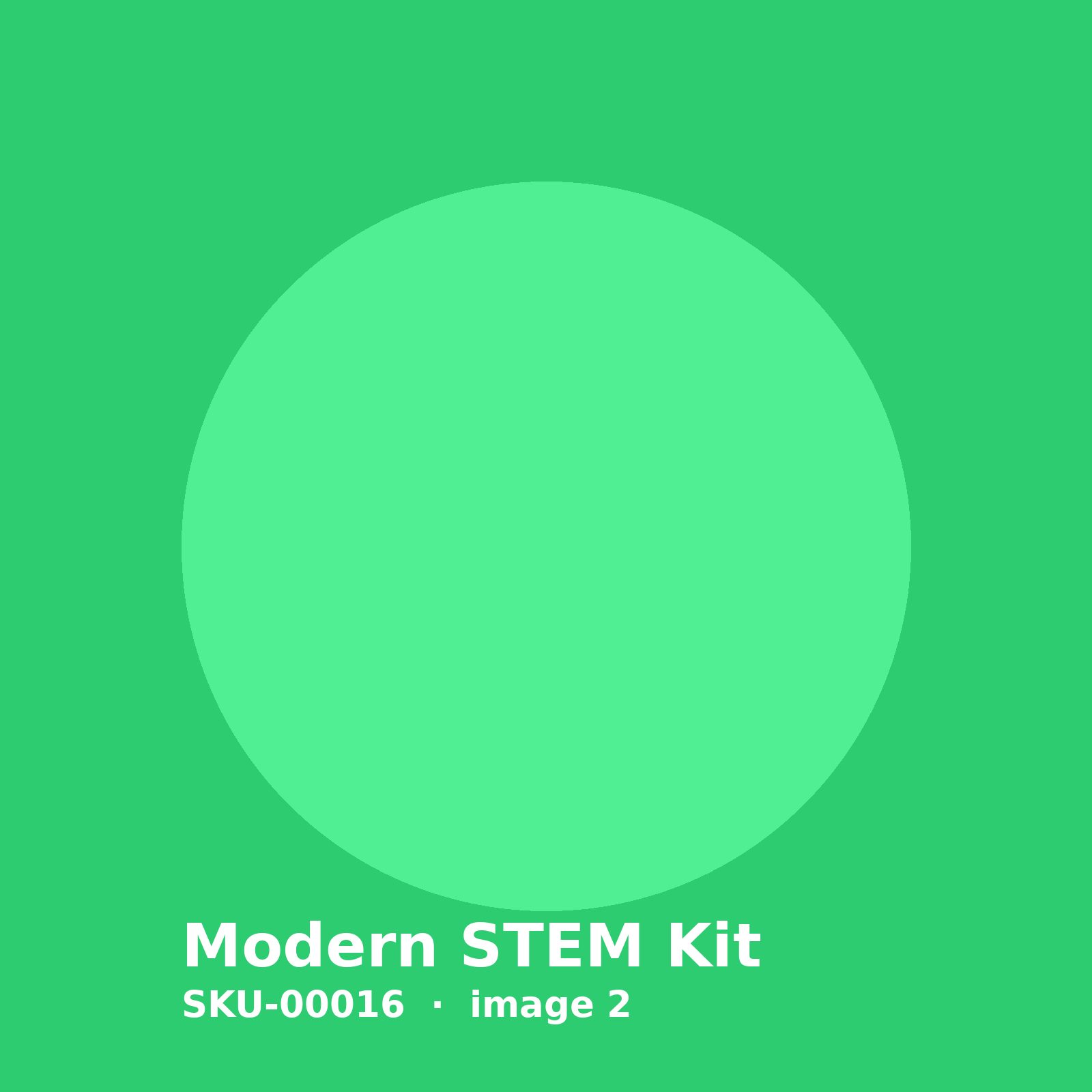 SKU-00016-2.jpg Modern STEM Kit - Image 2