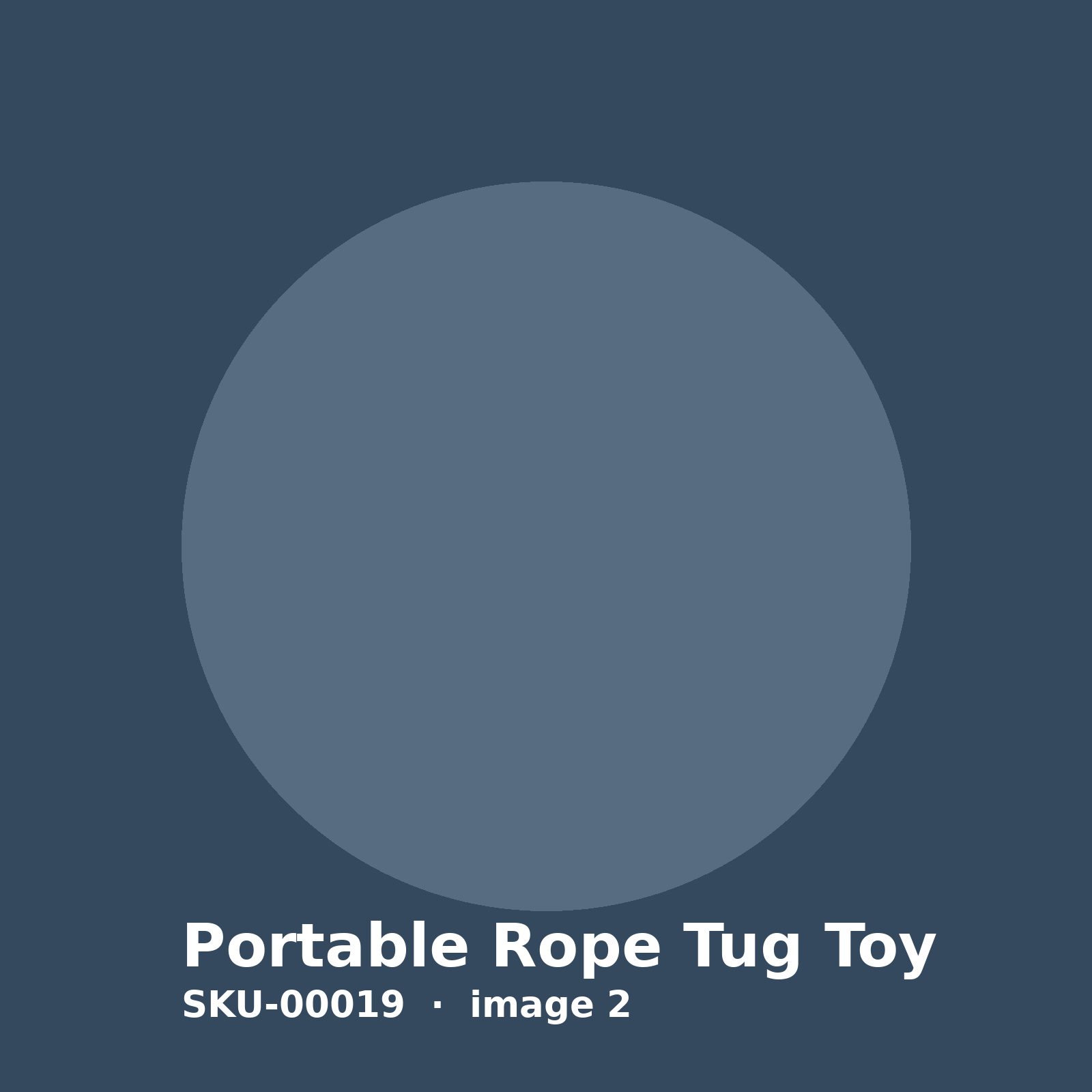 SKU-00019-2.jpg Portable Rope Tug Toy - Image 2