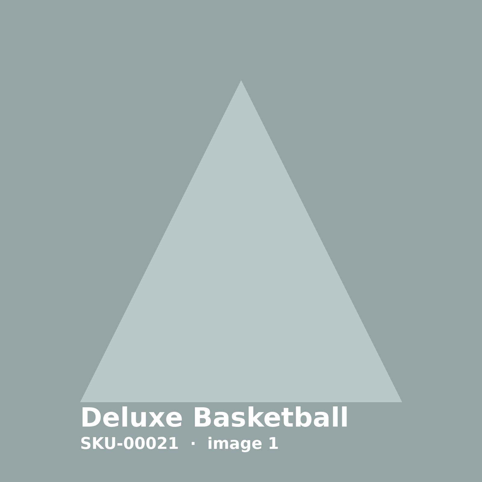 SKU-00021-1.jpg Deluxe Basketball