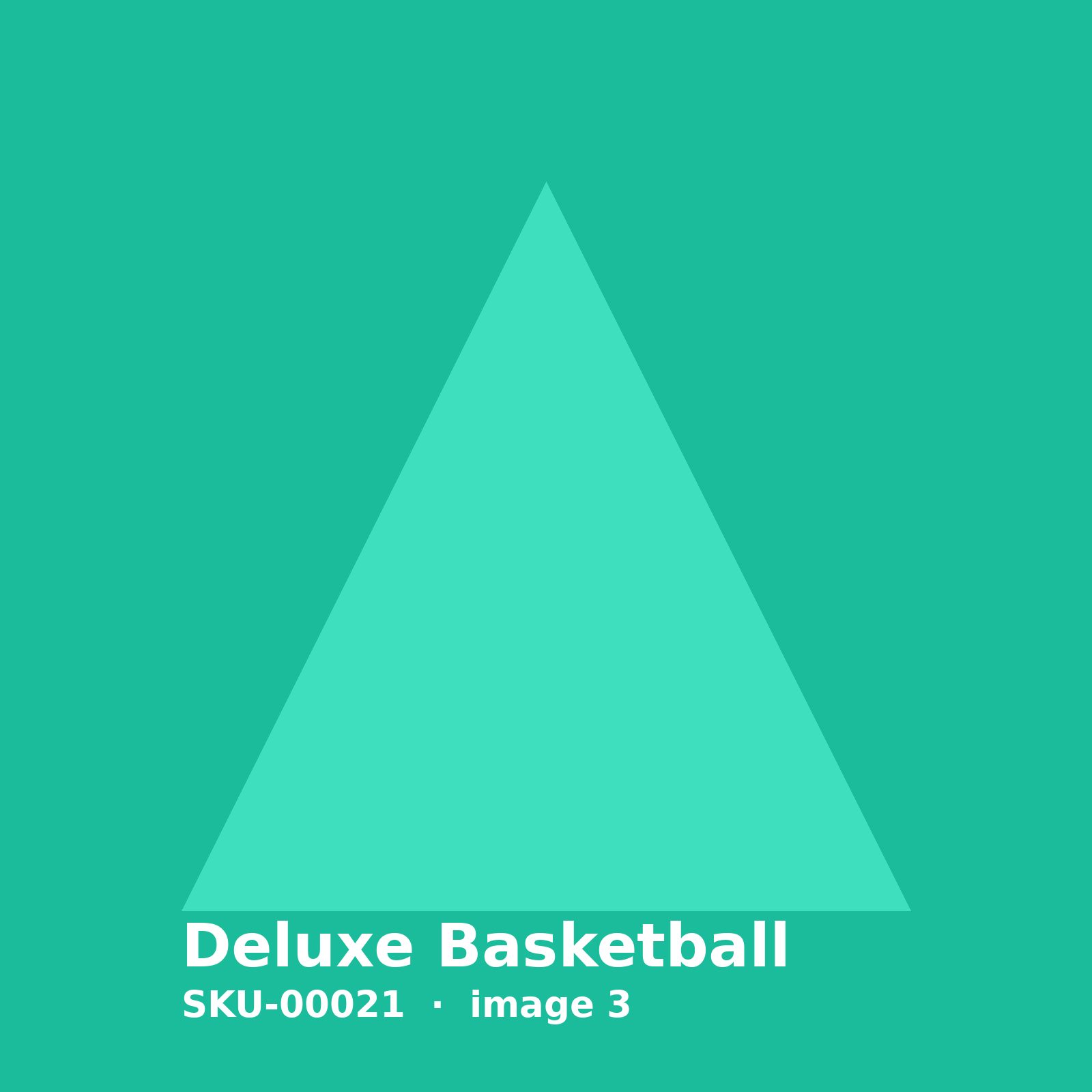SKU-00021-3.jpg Deluxe Basketball - Image 3