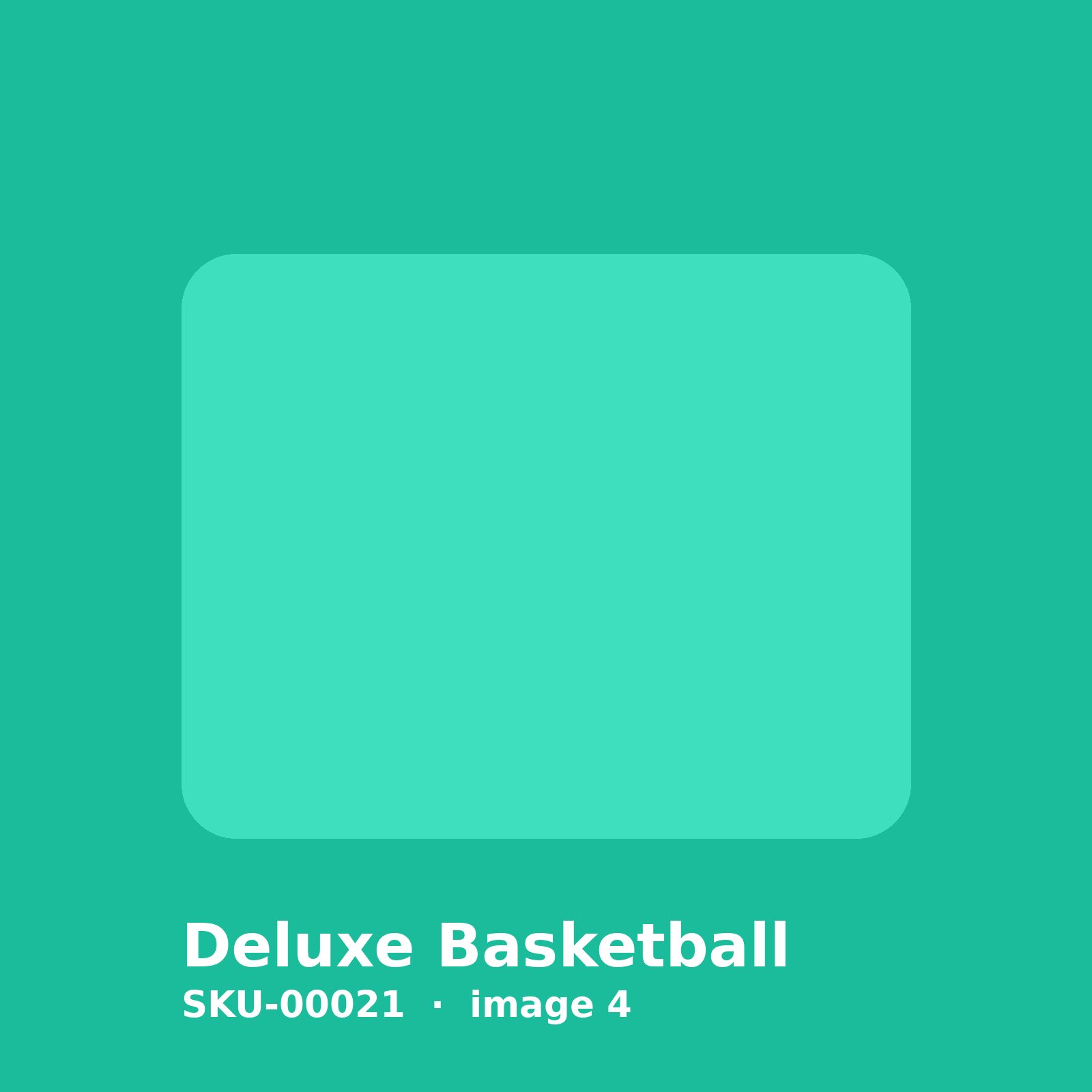 SKU-00021-4.jpg Deluxe Basketball - Image 4