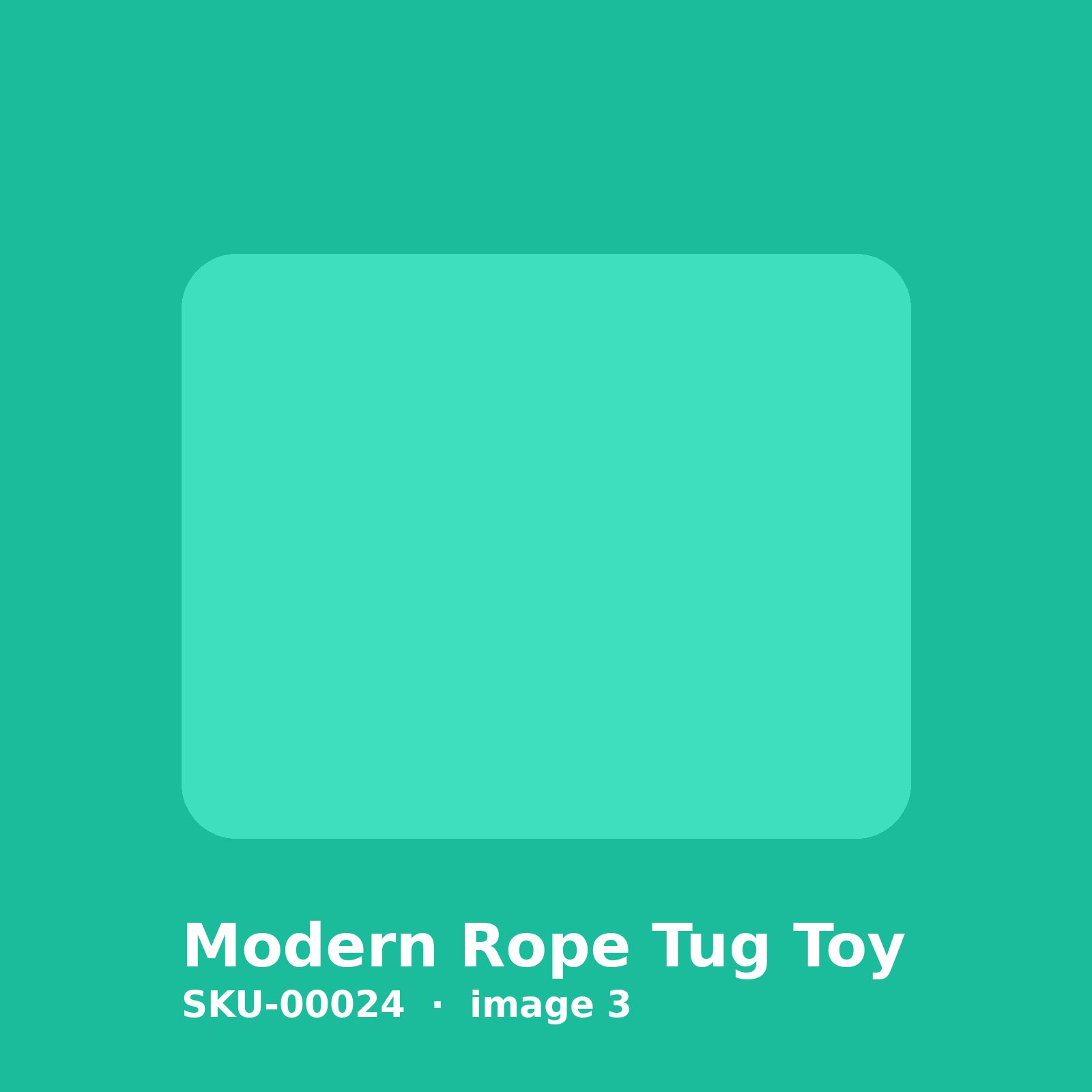 SKU-00024-3.jpg Modern Rope Tug Toy - Image 3