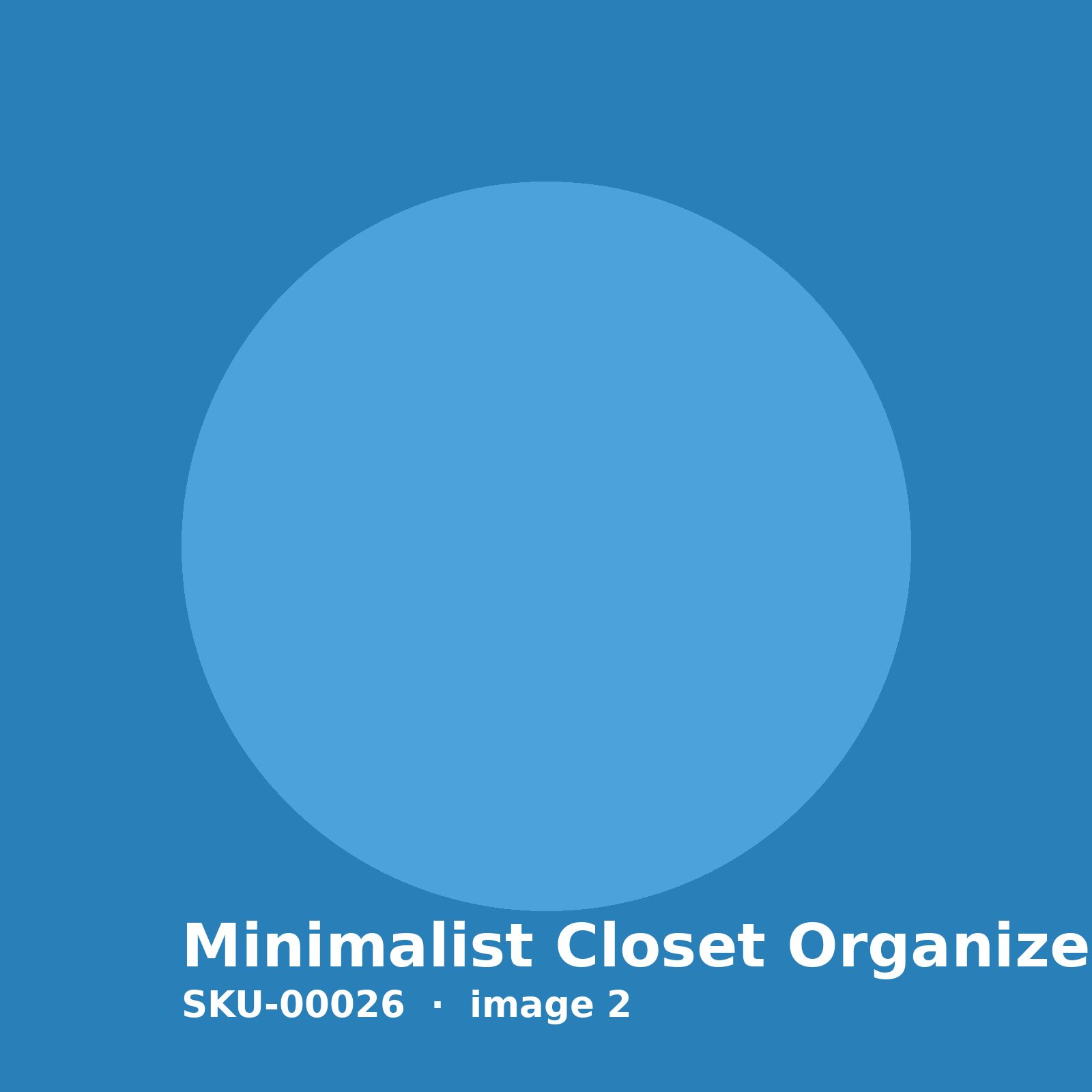 SKU-00026-2.jpg Minimalist Closet Organizer - Image 2