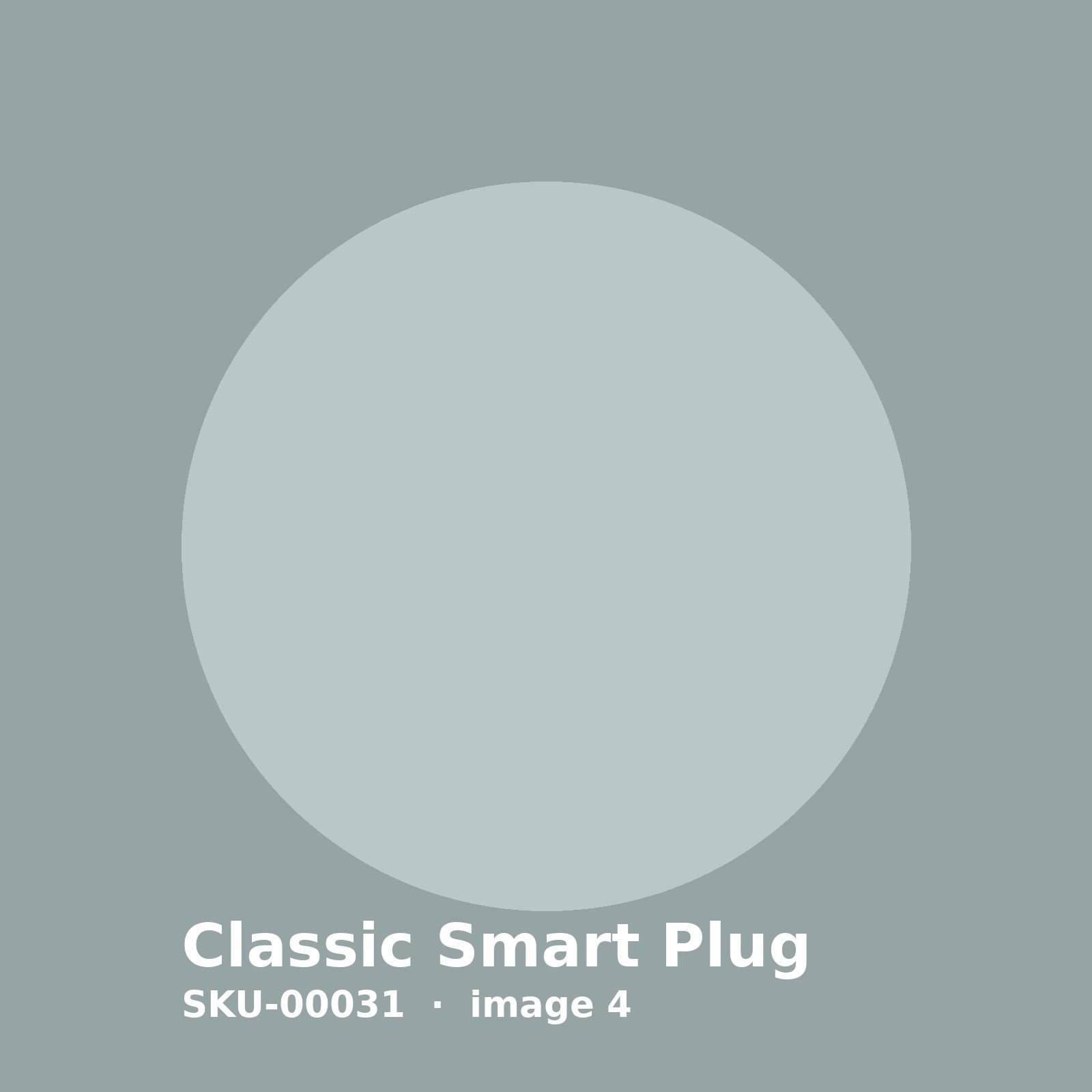 SKU-00031-4.jpg Classic Smart Plug - Image 4