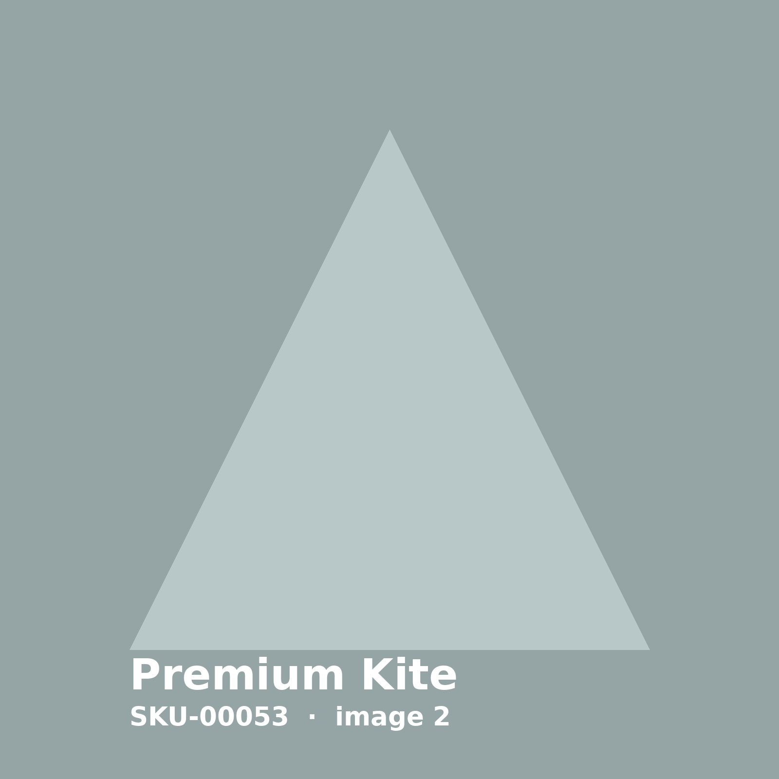 SKU-00053-2.jpg Premium Kite - Image 2