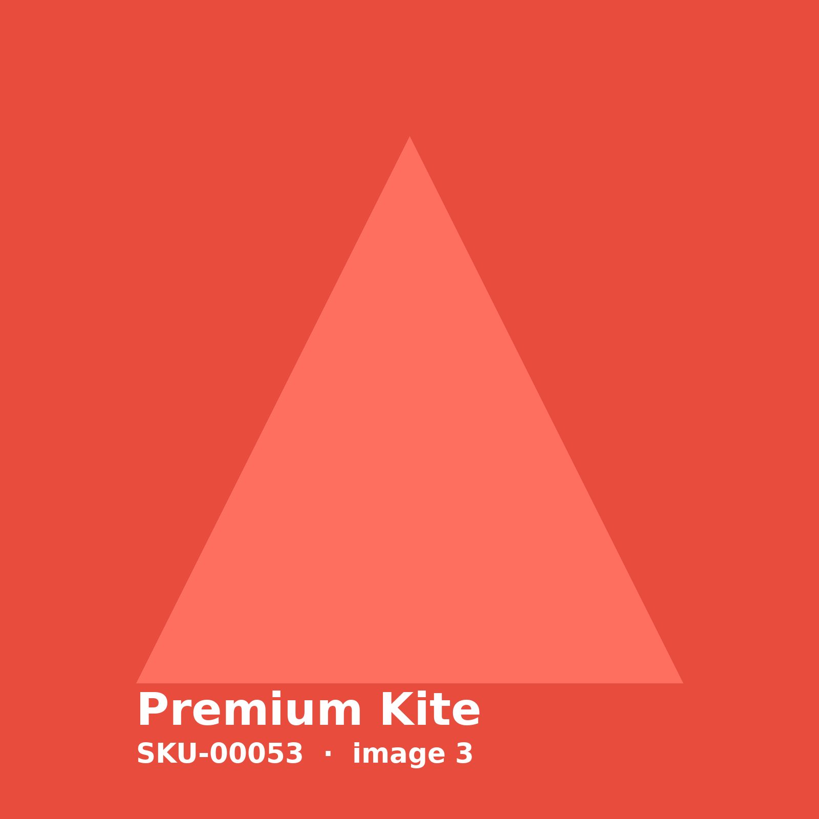 SKU-00053-3.jpg Premium Kite - Image 3