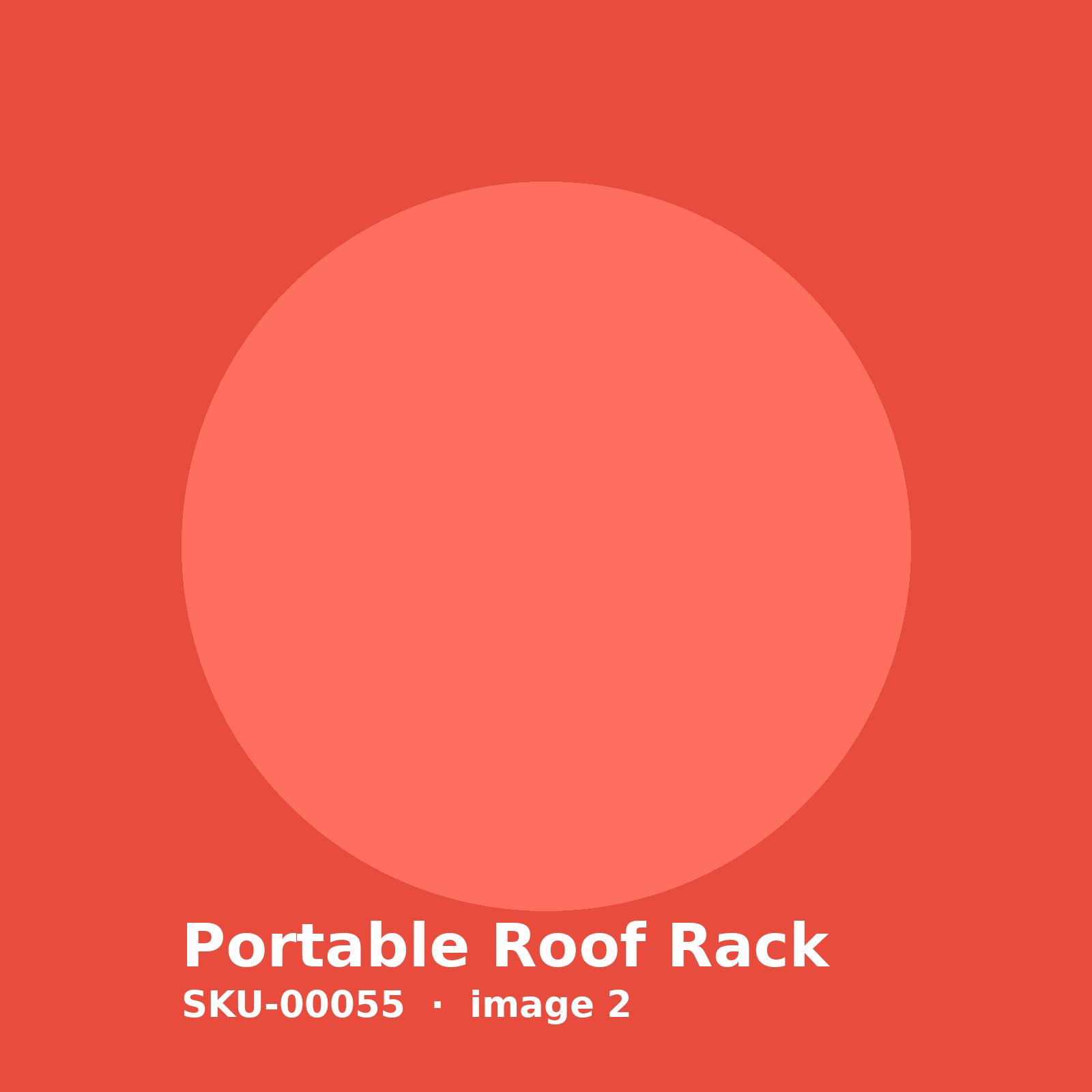 SKU-00055-2.jpg Portable Roof Rack - Image 2