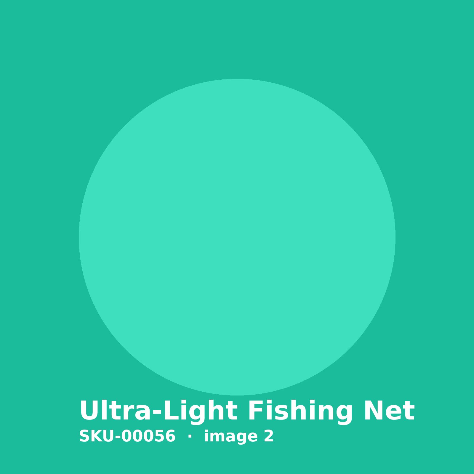 SKU-00056-2.jpg Ultra-Light Fishing Net - Image 2