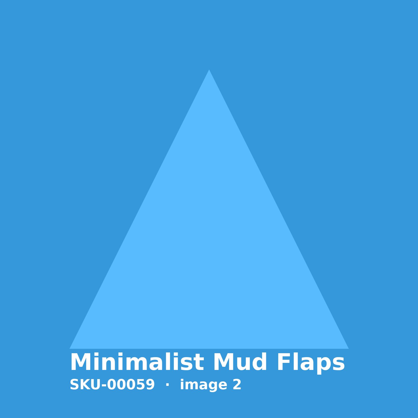 SKU-00059-2.jpg Minimalist Mud Flaps - Image 2