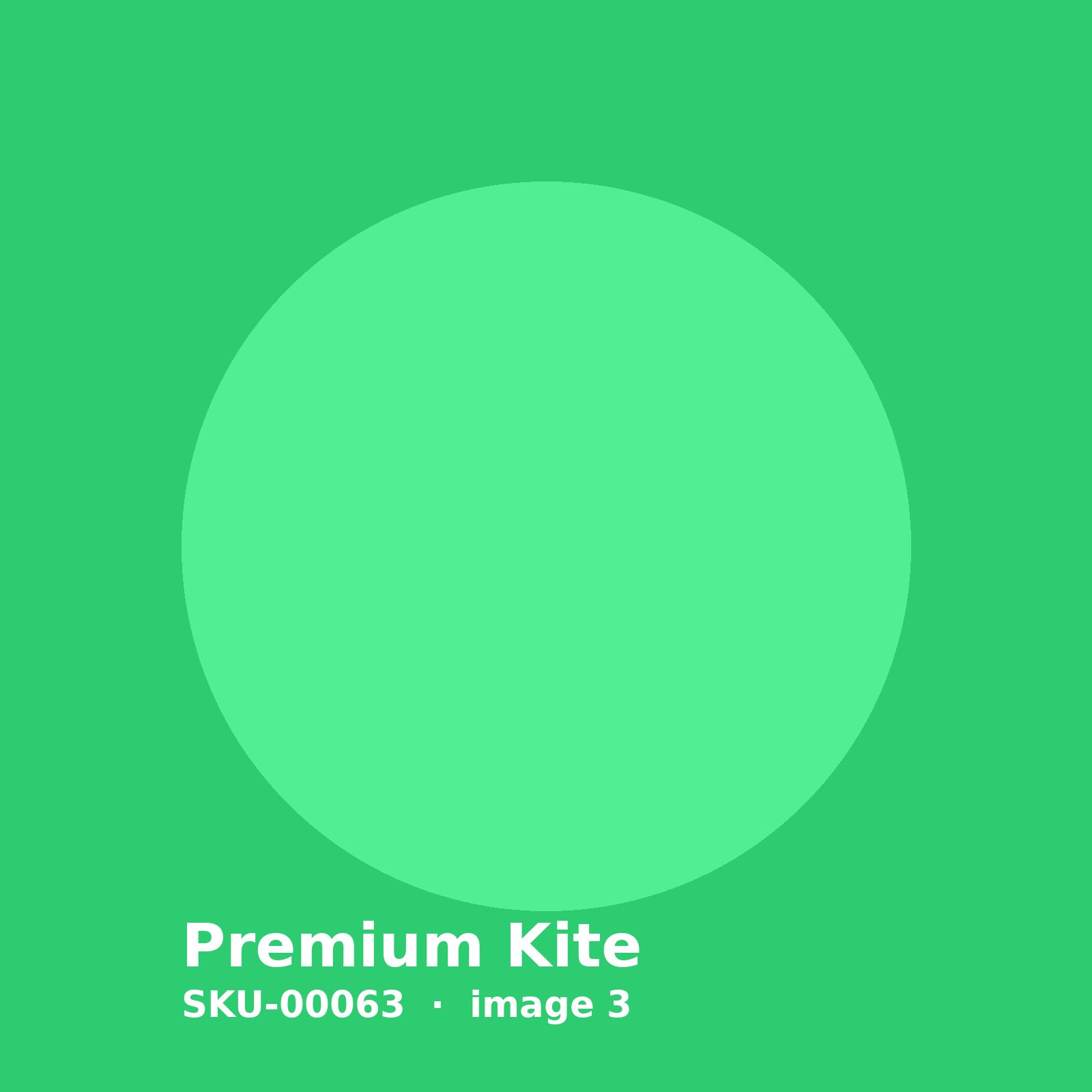 SKU-00063-3.jpg Premium Kite - Image 3