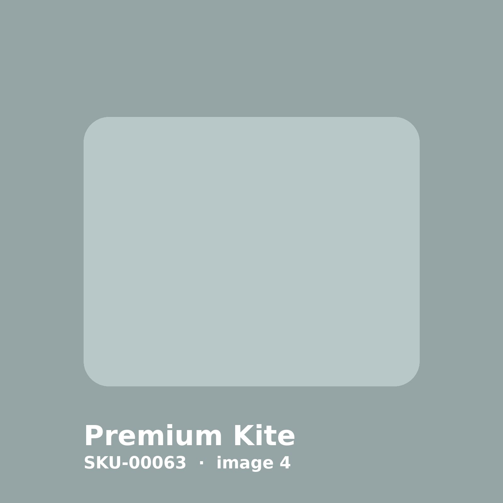 SKU-00063-4.jpg Premium Kite - Image 4