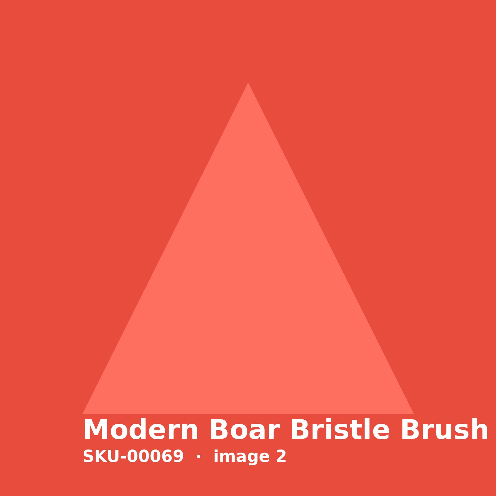 SKU-00069-2.jpg Modern Boar Bristle Brush - Image 2