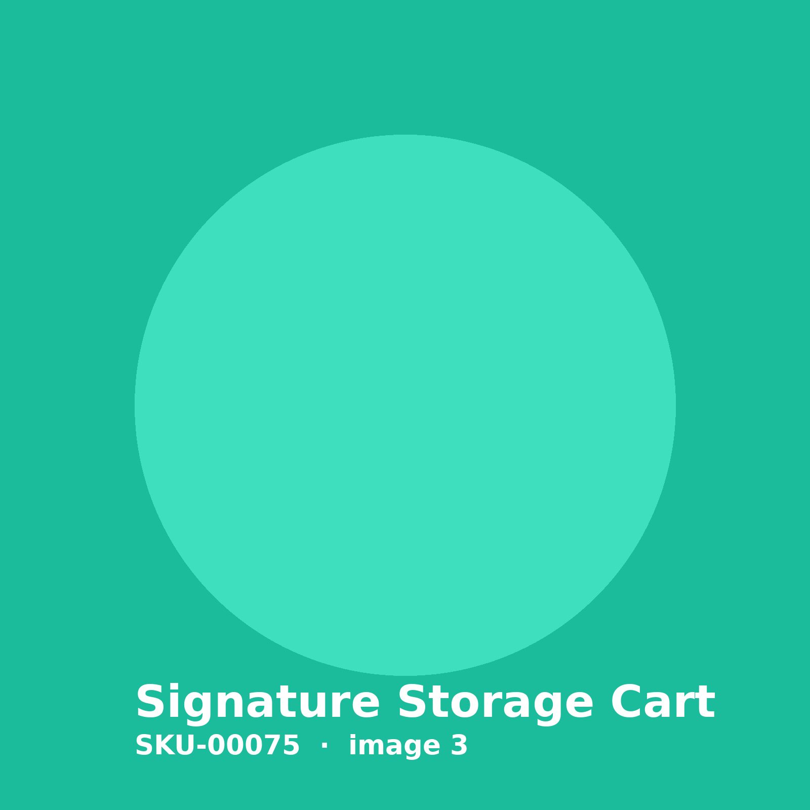 SKU-00075-3.jpg Signature Storage Cart - Image 3