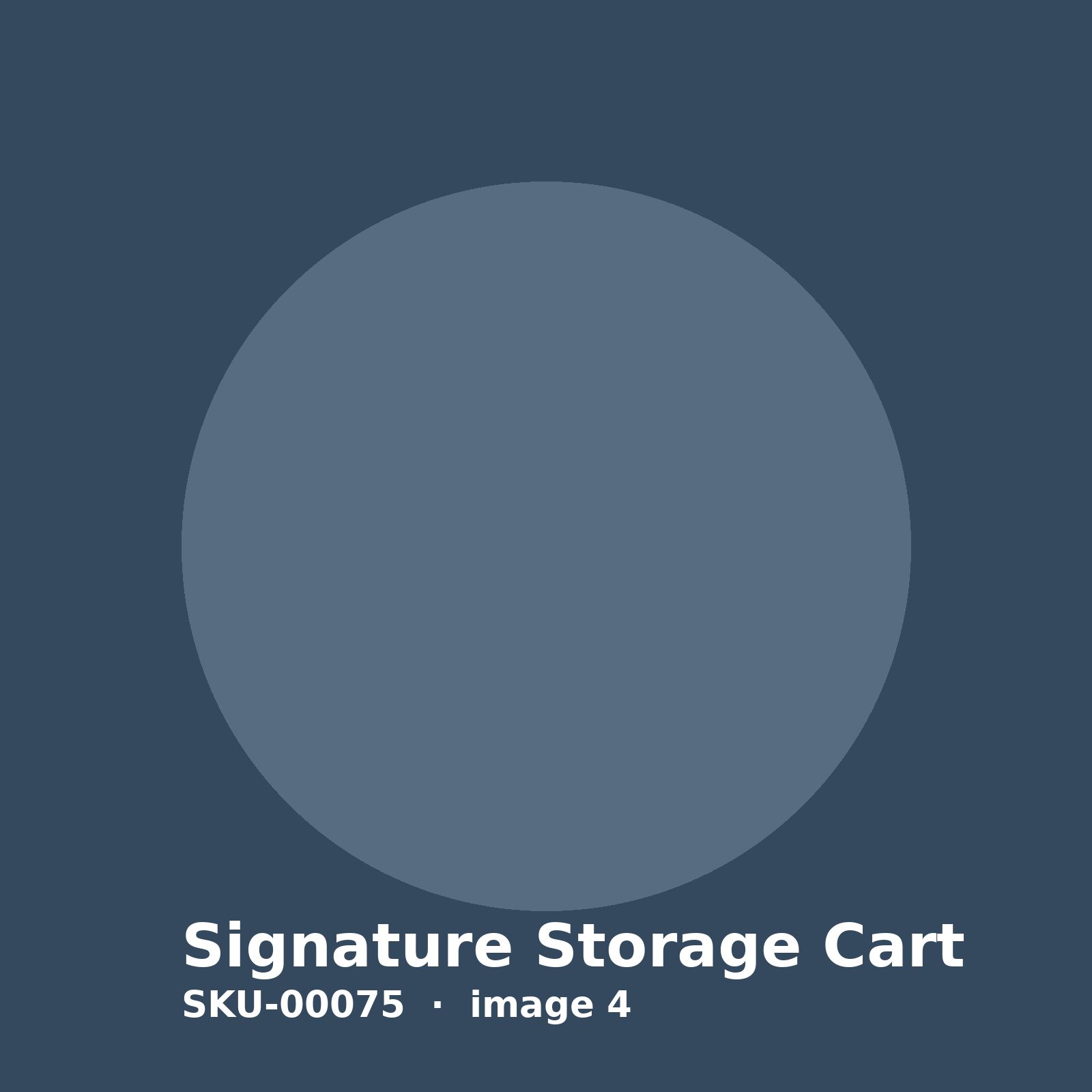 SKU-00075-4.jpg Signature Storage Cart - Image 4